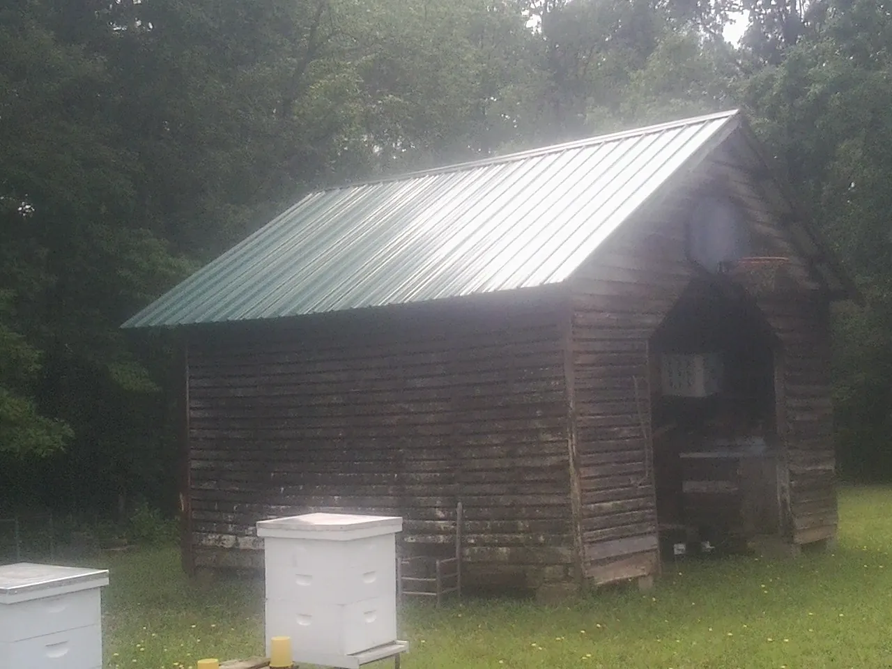 Green metal roof on a weathered barn beside stacked beehives in Port William